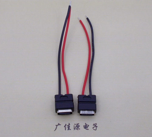 青岛type c2p防水母座焊线式带线注塑成型带接线端子/不带接线端子充电连接器